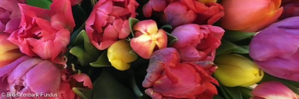 Tulpenstrauß